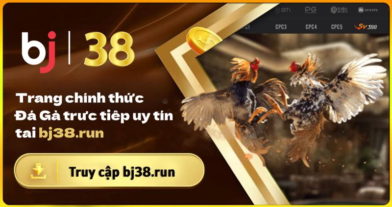 BJ38 - Trang chủ Cá Cược Đá gà trực tiếp | bj38.run #bj38