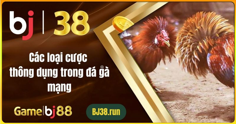 Giới thiệu về đá gà mạng và cá cược đá gà