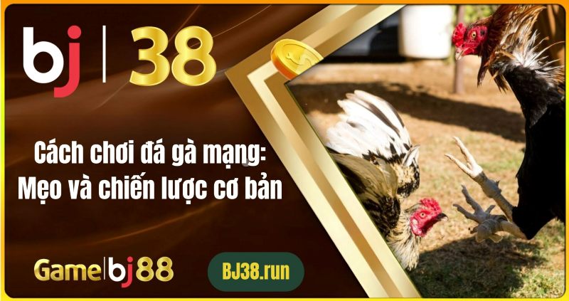 Khám Phá Trận Đá Gà Kịch Tính Tại BJ38: Cách Đặt Cược Lý do nên chơi tại BJ38