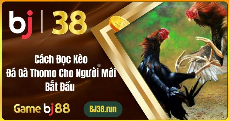 Làm thế nào để chọn loại cược phù hợp?