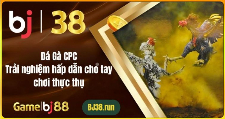 Đá Gà CPC: Trải Nghiệm Hấp Dẫn Cho Tay Chơi Thực Thụ