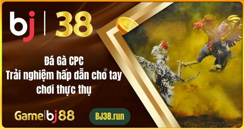 Đá Gà CPC: Trải Nghiệm Hấp Dẫn Cho Tay Chơi Thực Thụ Đá Gà CPC: Trải Nghiệm Hấp Dẫn Cho Tay Chơi Thực Thụ