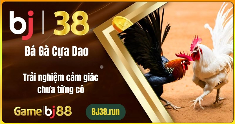 Đá Gà Cựa Dao là gì?