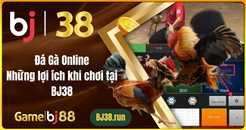 Những lợi ích khi tham gia đá gà BJ38