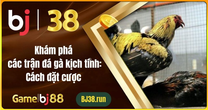 Các loại bệnh thường gặp ở gà đá