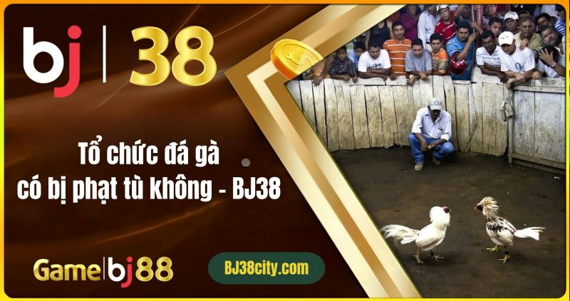 Xu Hướng Đá Gà Trực Tuyến 2025: Sự Phát Triển Và Tương Lai Những thách thức trong ngành đá gà trực tuyến