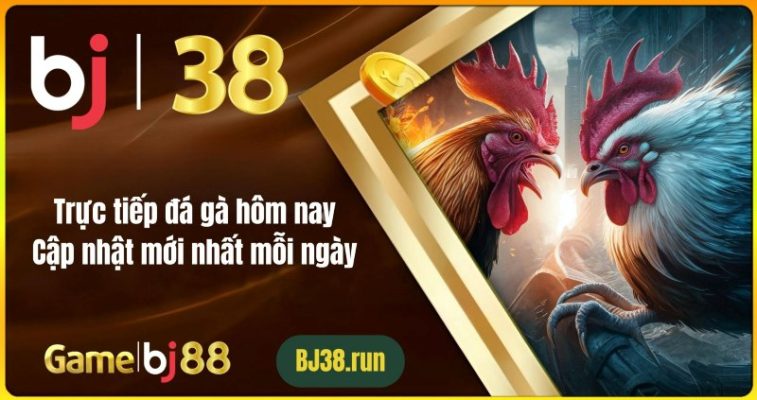 Trực Tiếp Đá Gà Hôm Nay - Cập Nhật Mới Nhất Mỗi Ngày | BJ38